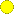 Yellow_Short.png